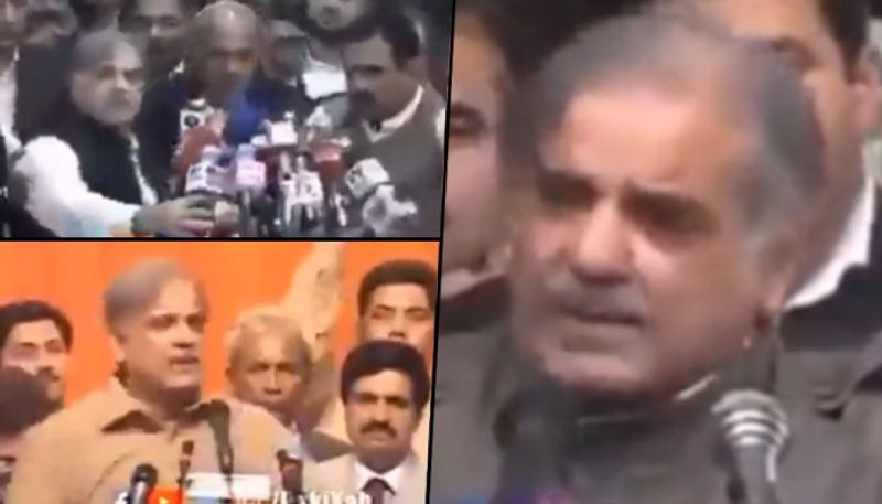 Shehbaz Sharif drops mic with his hand movements netizens cant keep calm watch gcw