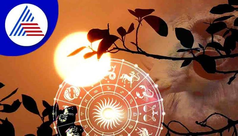 Sun transit 2022 Horoscope effects on zodiac signs