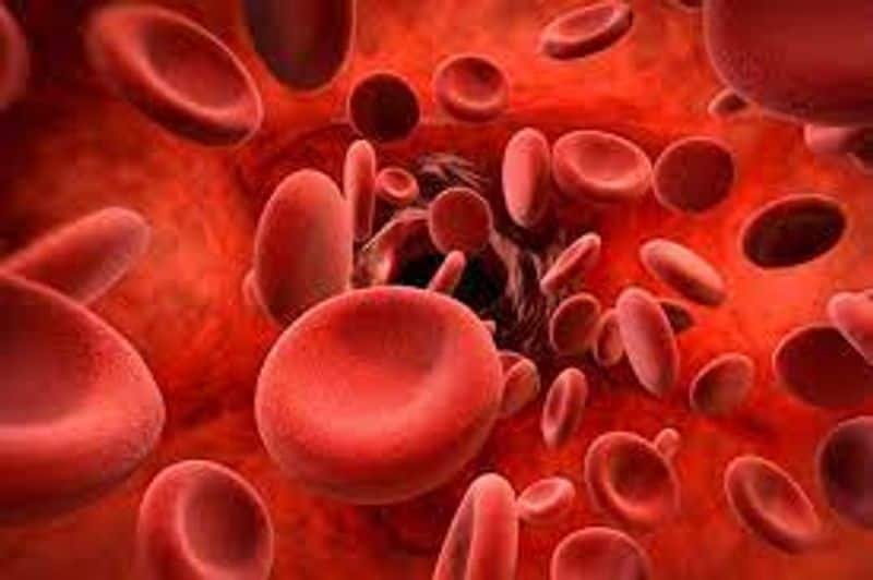 iron rich foods to improve your hemoglobin