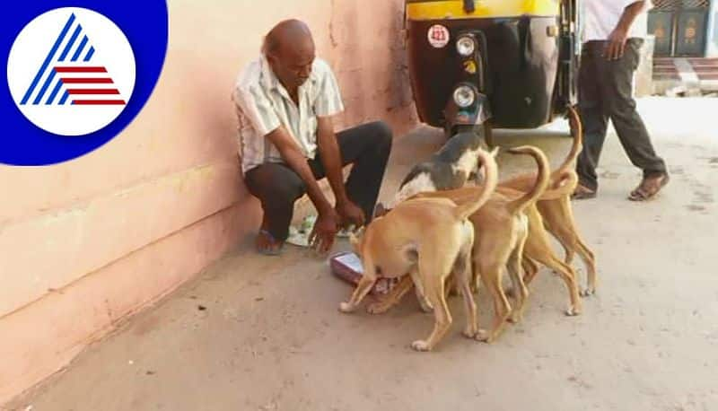 man supply food to dogs and monkeys since 30 years in kolar gvd