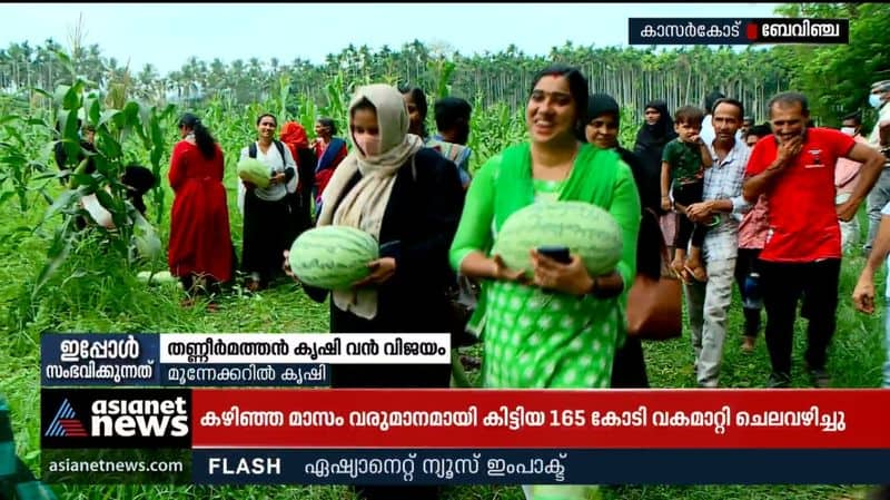 Kudumbasree watermelon farming