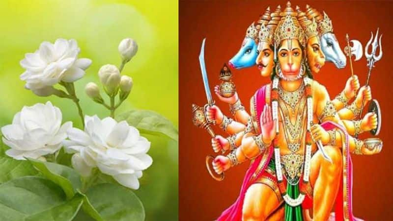 Hanuman worship benefits: What are the benefits of worship in anjaneyan on saturday