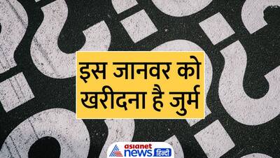 Tricky Questions:  ऐसा कौन सा जानवर है जिसे खरीदना जुर्म माना जाता है, जानिए जवाब