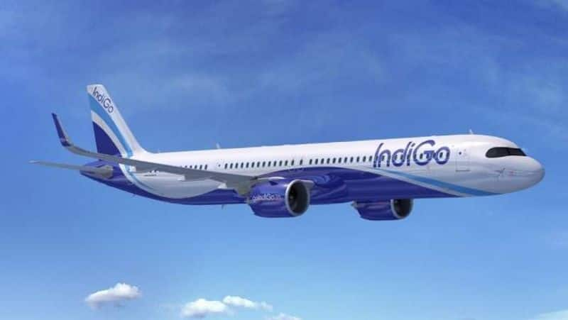 Indigo airline celebrates 16th anniversary 