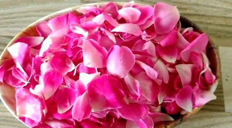 vastu tips how rose petals remove negative energy in home in tamil mks