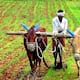 Target for sowing in 114 lakh hectares in the state Seed stock from the Agriculture Department gvd