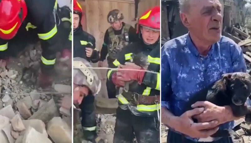 Watch Puppy reunites with its owner upon being rescued from the building debris in Ukraine-tgy