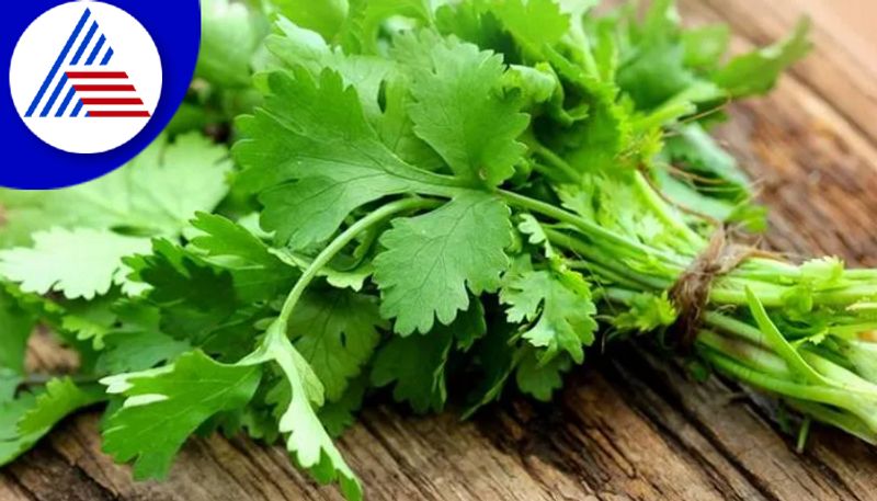 Brilliant Hack To Remove Coriander Leaves From Stem Gets 147 Million Views Vin