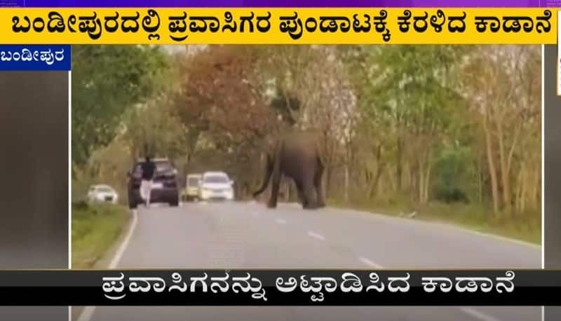 elephant attack on tourist in bandipur gvd