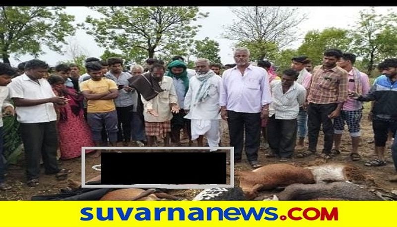 Brothers dies by Thunderbolt And more than 9 sheep also dead In Vijayapura rbj