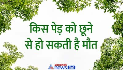 Tricky Questions: किस पेड़ को छूने के बाद हो सकती है इंसान की मौत, जानें इस सवाल का जवाब