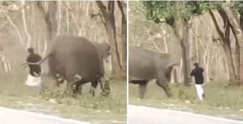 Bike rider escapes elephant attack in Chamarajanagar suh