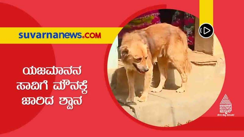 A dog mourns its owners death in Kodagu skr