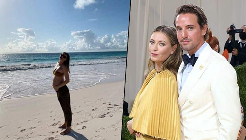 maria sharapova husband : Tennis queen Maria Sharapova announces first pregnancy, father is Prince William and Harry friend