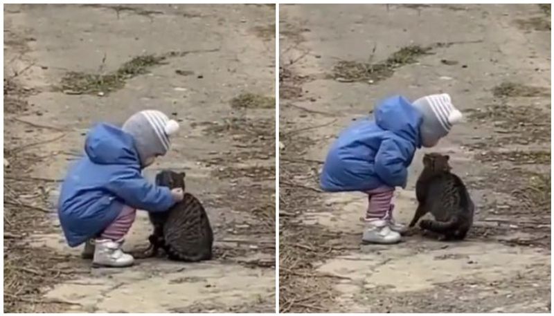 Toddler Shower Kisses Over Kitty In An Adorable Video