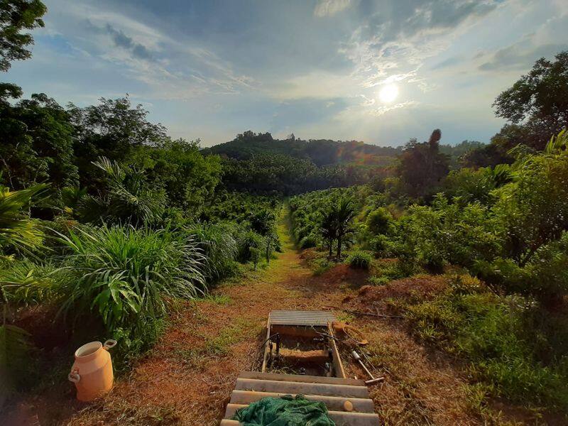 Tirumaleshwara Bhat Experimental Agriculture Very popular in Dakshina Kannada grg