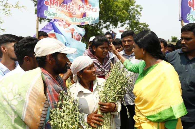 YSRTP Chief YS Sharmila Demands compensation To Non paddy Farmers