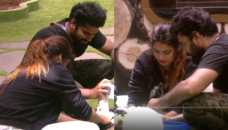 Robin teaches Dilsha to wash clothes in bigg boss 