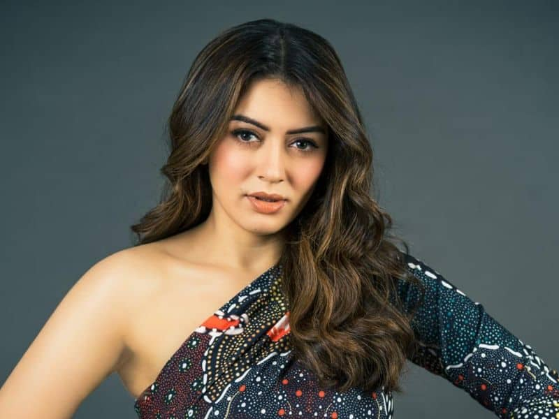 reports says Hansika Motwani tie the knot in December