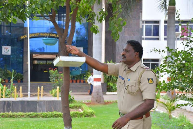 Police Inspector Provide Water to Birds During Summer in Koppal grg