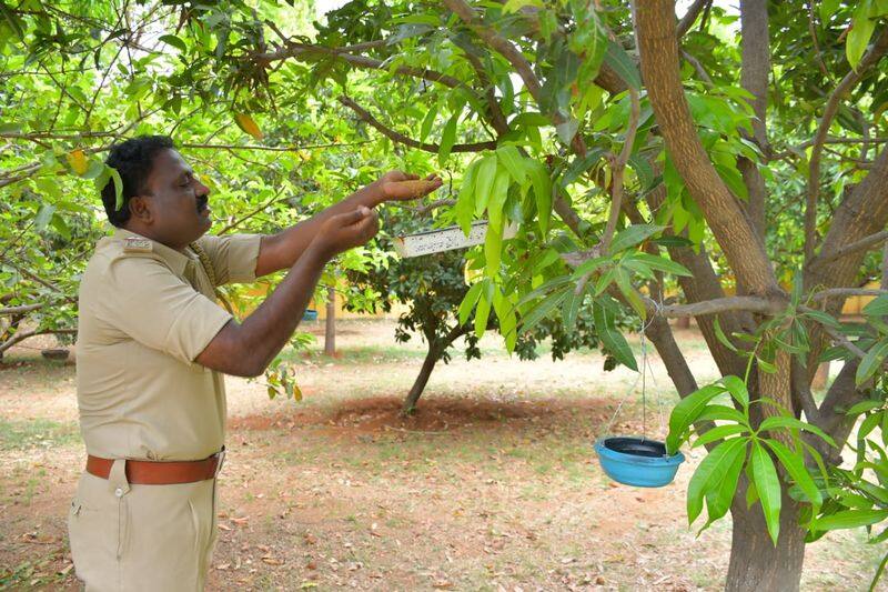 Police Inspector Provide Water to Birds During Summer in Koppal grg