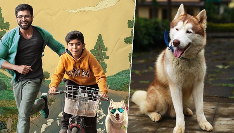 Oh My Dog movie: Arun Vijay talks about his bond with pup 'Simba' and more than 100 dogs RBA