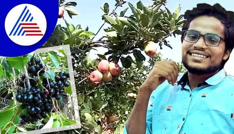 Innovative Farmer Grows Kashmiri Apples in Vijayapura Kolhar mnj