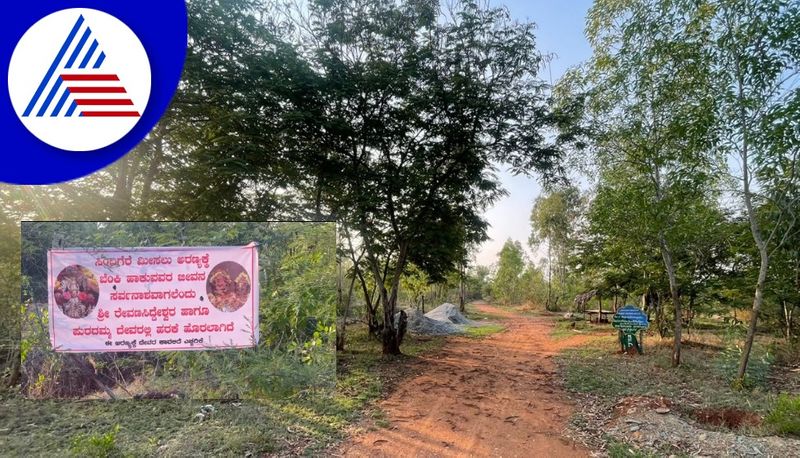 Localites Plan to save forest from wildfire in chikmagalur pod