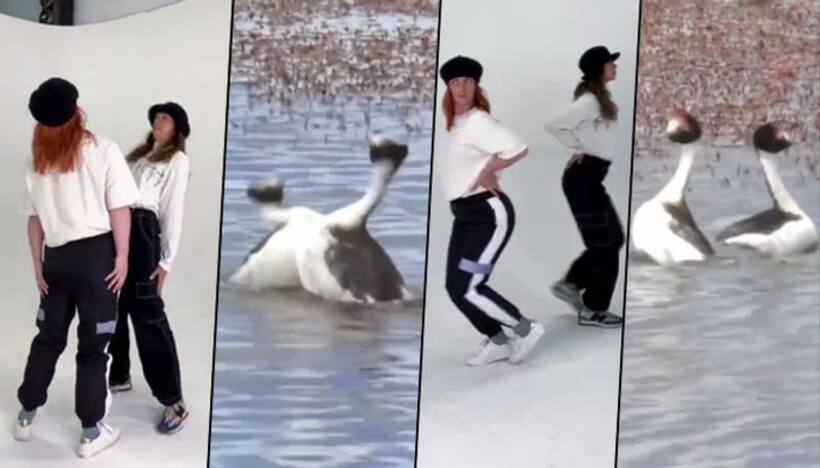 Watch: Two girls replicating a duck; hilarious video will leave you in splits