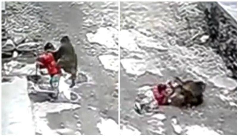 Watch Wild monkey tries kidnapping toddler playing outside home in China-dnm