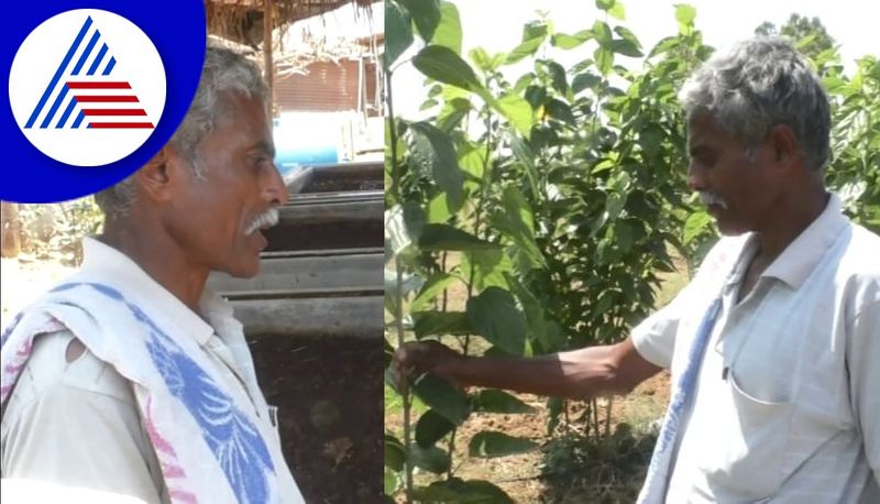 model farmer in kolar organic farming earthworm in the garden gvd