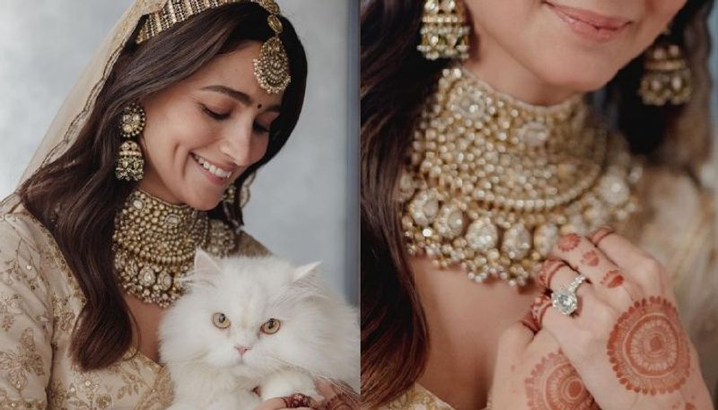 alia bhatt shares pictures wedding pictures with her pet cat