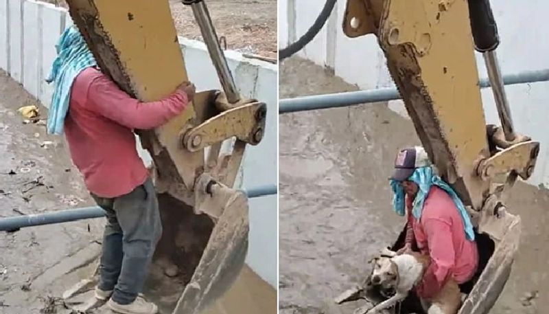 construction worker rescues dog from canal