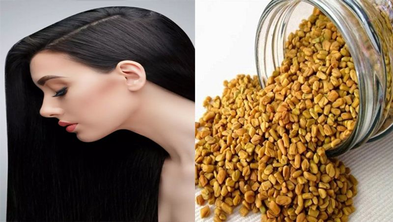 How to eat fenugreek to darken gray hair? Do you know?