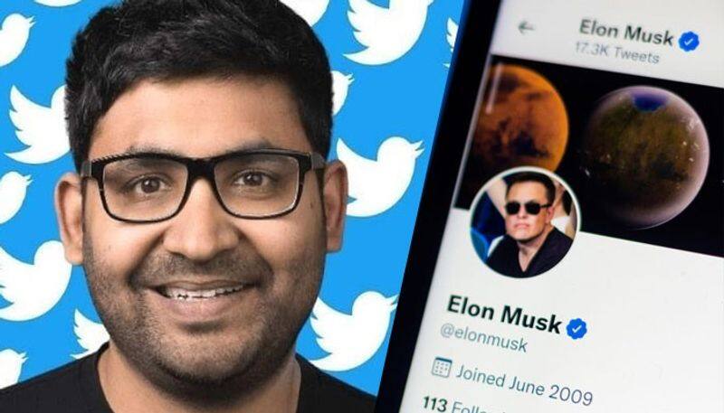 No one working just to keep lights on expect changes Twitter CEO Parag Agrawal amid Elon Musk jolt gcw