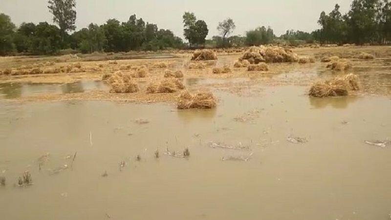 Edappadi Palaniswami has alleged that farmers are suffering due to lack of adequate insurance for their crops