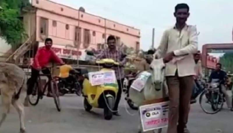 Angry Customer Tied Ola Electric Scooter To A Donkey, Drove It Across The City, Know What Is The Whole Matter