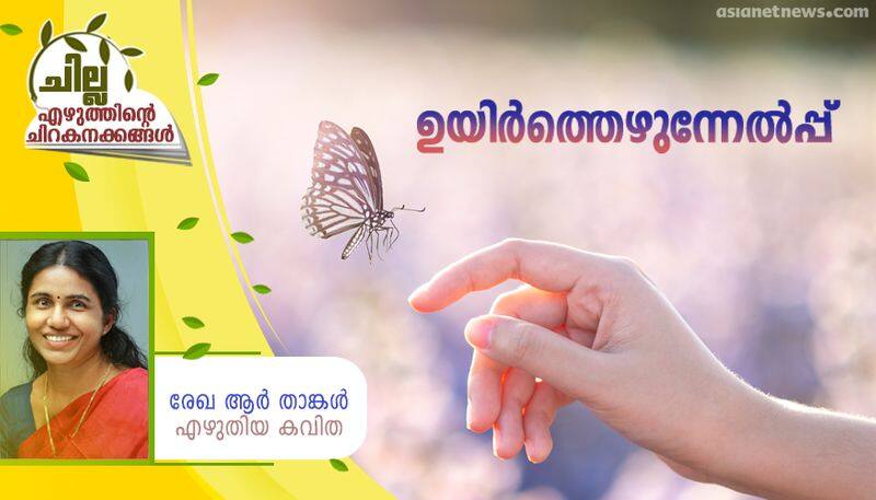 chilla malayalam poem by Rekha R Thangal