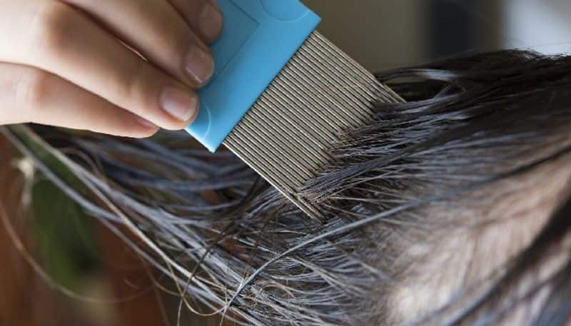 video in which hairdresser shows girls head full of lice