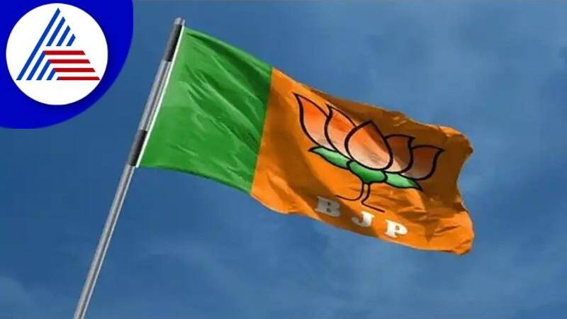 BJP Flag