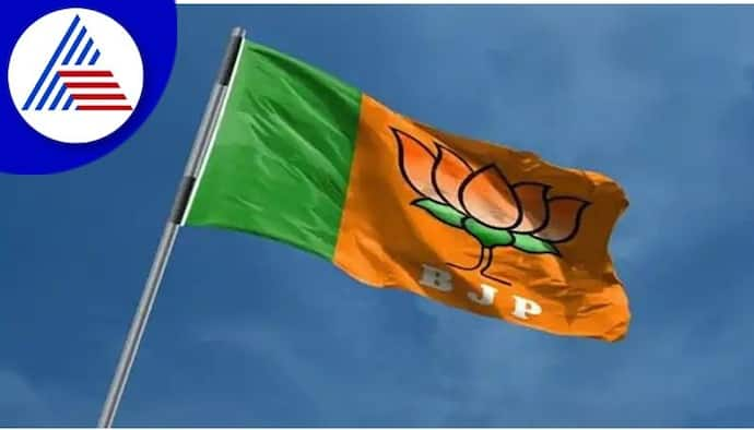 BJP Flag