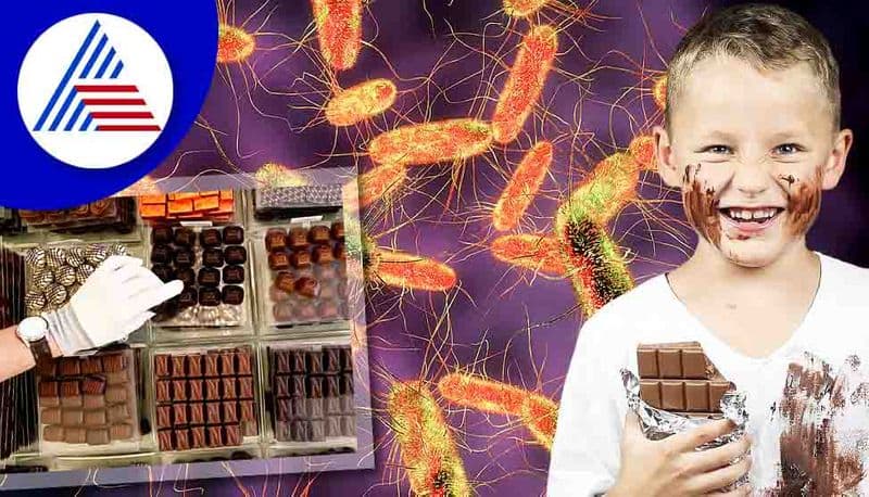 WHO alert over gastro disease linked to Belgian chocolates