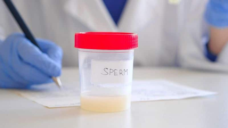 Is swallowing semen good for health mrq