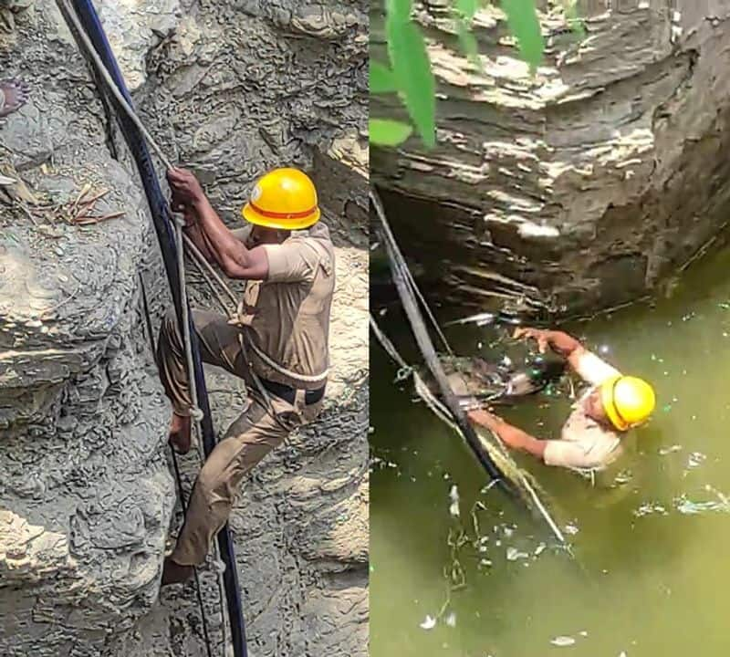 firefighters recuses peacock from 40 feet Well at Vijayapura rbj