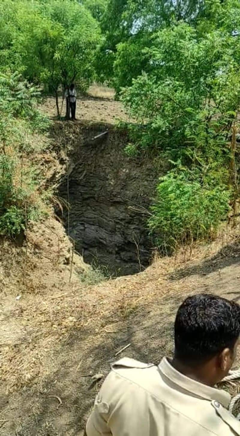 firefighters recuses peacock from 40 feet Well at Vijayapura rbj