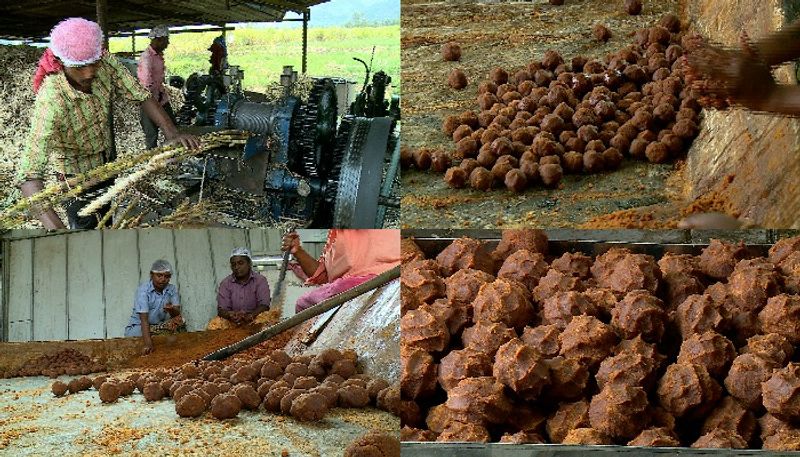 GST on Jaggery Marayoor Farmers demands Center to back out