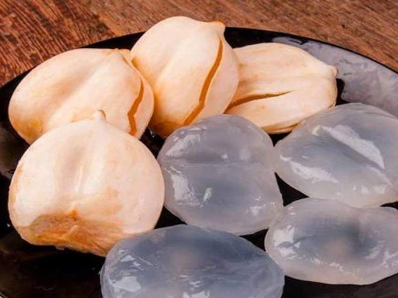 amazing health benefits of nungu or ice apple in tamil mks