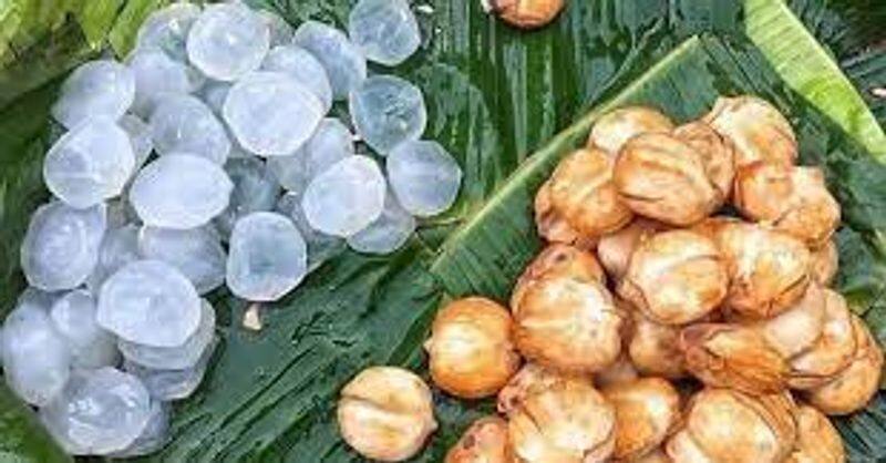 amazing health benefits of nungu or ice apple in tamil mks