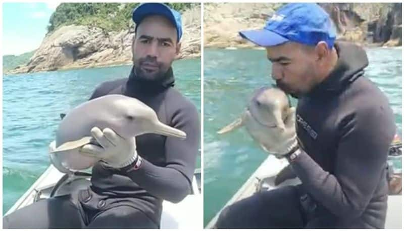 Man Rescues Baby Dolphin From Fishing Net