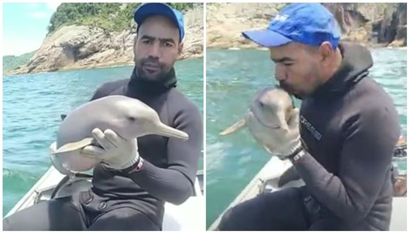 Man Rescues Baby Dolphin From Fishing Net